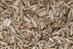 biomass boilers Llandyfrydog
